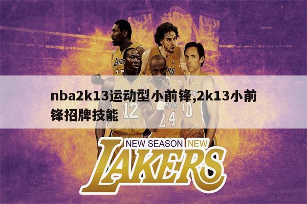 nba2k13运动型小前锋,2k13小前锋招牌技能