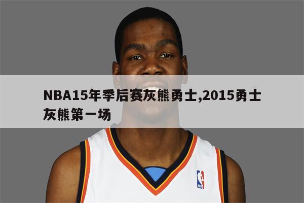 NBA15年季后赛灰熊勇士,2015勇士灰熊第一场